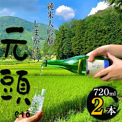 ふるさと納税 伊賀市 純米大吟醸 しまがはら元頭 720ml 2本