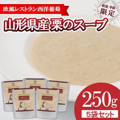 ふるさと納税 南陽市 欧風レストラン西洋葡萄の栗のスープ[季節・数量限定]250g×5パック[S1670]