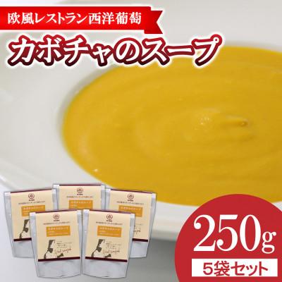 ふるさと納税 南陽市 欧風レストラン西洋葡萄のカボチャのスープ 250g×5パック[S1671]
