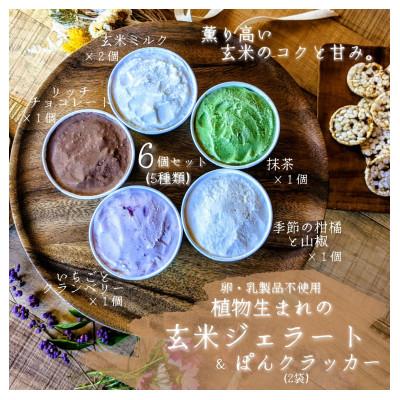ふるさと納税 井手町 植物生まれの玄米ジェラート6個&amp;玄米ぽんクラッカー2袋