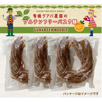 ふるさと納税 南国市 グアバ農園のグルテンフリー玄米パスタ麺 100g×3袋セット