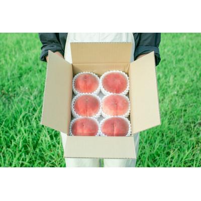 ふるさと納税 笛吹市 [先行受付]夏に欠かせない桃を、本場「山梨」からお届け!(5~6玉)[6月下旬〜7月中旬収穫発送]