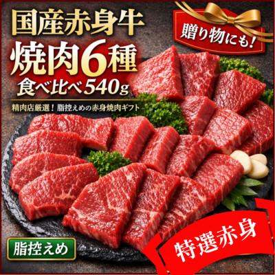 ふるさと納税 羽曳野市 厳選赤身牛焼肉セット6種盛り ヒマラヤレッド岩塩100g付き