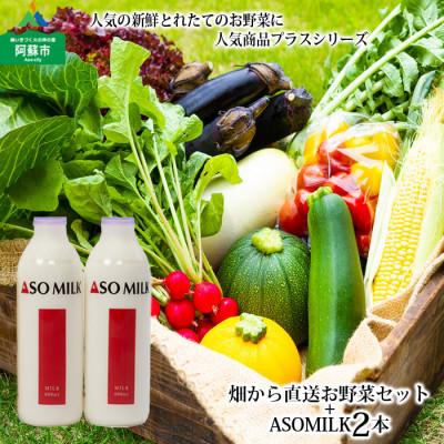 ふるさと納税 阿蘇市 阿蘇産季節のお野菜と阿部牧場の三ツ星受賞牛乳「ASOMILK」800ml×2本