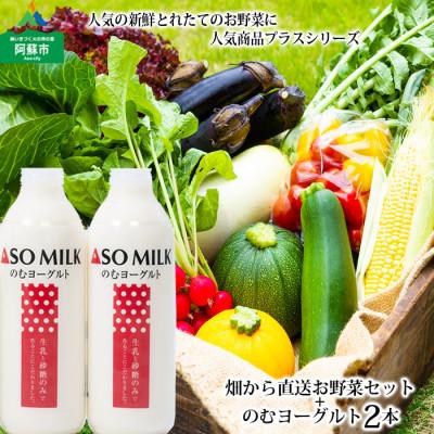 ふるさと納税 阿蘇市 阿蘇産季節のお野菜と阿部牧場の三ツ星受賞のむヨーグルト800ml×2本セット