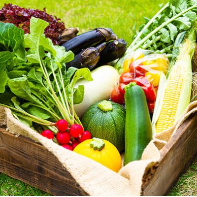 ふるさと納税 阿蘇市 阿蘇産季節のお野菜と阿部牧場の三ツ星受賞のむヨーグルト800ml×2本セット |  | 01