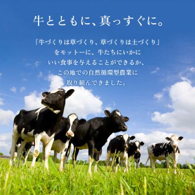 ふるさと納税 阿蘇市 阿蘇産季節のお野菜と阿部牧場の三ツ星受賞のむヨーグルト800ml×2本セット |  | 03