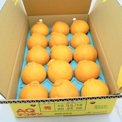 ふるさと納税 湯浅町 糖度13度以上　JA和歌山　AQのデコポン(和歌山県産)　秀品　約5キロ(12〜24玉) |  | 01