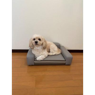 ふるさと納税 志摩市 ペットソファリオン