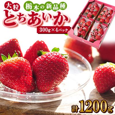 ふるさと納税 佐野市 ルビーの輝き!!いちご王国栃木の新品種 大粒『とちあいか』(300g×4パック)