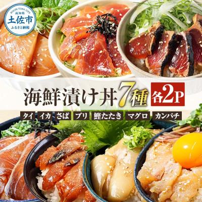 ふるさと納税 土佐市 土佐の海鮮漬け丼7種 各2袋セット(タイ・マグロ・イカ・ブリ・カンパチ・サバ・わら焼き鰹たたき)