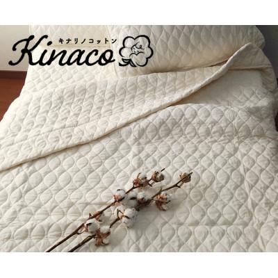 ふるさと納税 岸和田市 [シングル]kinacoオーガニックコットンガーゼケット 140×190 IV 1枚 OG-4K