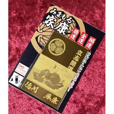 ふるさと納税 岡崎市 みまもる家康「立志開運」