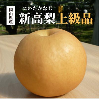 ふるさと納税 真庭市 [2026年先行予約]新高梨 上級品/3-6玉入(岡山県産)