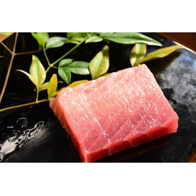 ふるさと納税 島田市 メバチマグロ 中トロ柵 2柵(合計約450g)[配送不可:離島]