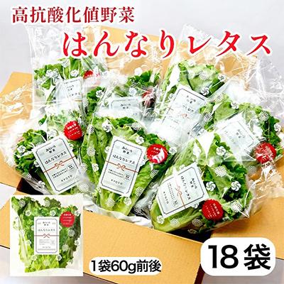 ふるさと納税 舞鶴市 高抗酸化値野菜セット