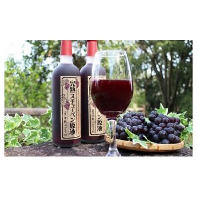 ふるさと納税 鶴田町 津軽鶴田町産 完熟スチューベン原液720ml×2本