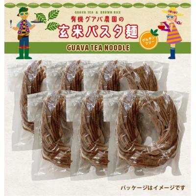 ふるさと納税 南国市 グアバ農園のグルテンフリーパスタ玄米麺 100g×6袋セット
