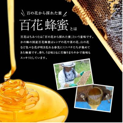 ふるさと納税 八女市 かの蜂の国産純粋蜂蜜 百花蜂蜜 3kg(500gとんがり