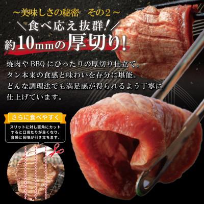 ふるさと納税 花巻市 厚切り牛タン(塩)500g  (500g×1P) |  | 03
