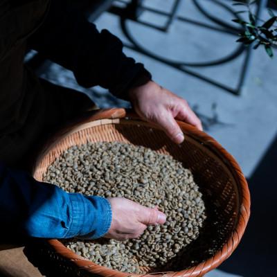 ふるさと納税 山鹿市 自家焙煎スペシャルティコーヒー【豆のまま