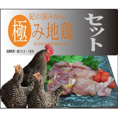 ふるさと納税 湯浅町 紀の国みかん極み地鶏セット