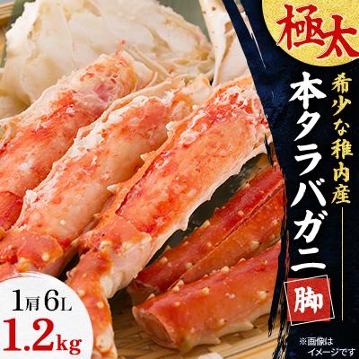 ふるさと納税 稚内市 [希少な稚内産]極太"本タラバガニ脚1肩"6L1.2kg