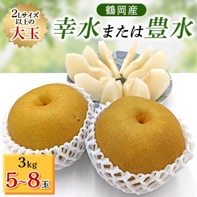 ふるさと納税 鶴岡市 「幸水」または「豊水」3kg 2Lサイズ以上の大玉