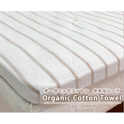 ふるさと納税 岸和田市 オーガニックコットンタオルシーツ Sサイズ(145×230cm)ボーダーブラウン SNS-13-BR