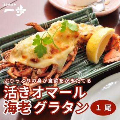 ふるさと納税 泉佐野市 ぷりっぷりの身をまとった活オマール海老のグラタン(1尾) 020C238-1