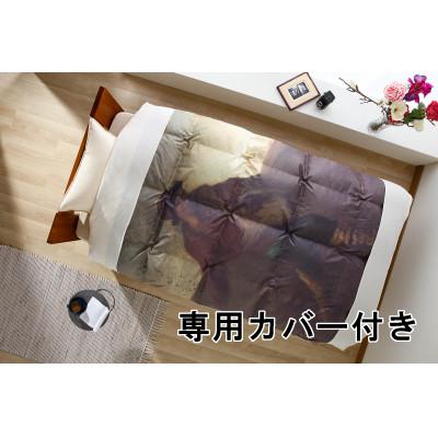 新品未使用 ペア。ETRO 羽毛掛け布団 ET1040 150x200cm 新品 ETRO