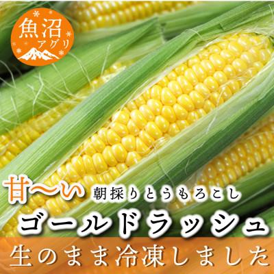 ふるさと納税 魚沼市 魚沼産冷凍生とうもろこし(3本入り×2袋)と冷凍粒とうもろこし(300g×2袋)のセット