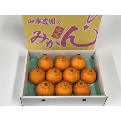 ふるさと納税 日高川町 高級 不知火 化粧箱入り[3kg 10玉]