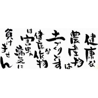 ふるさと納税 八女市 栽培期間中農薬不使用八女茶　緑茶微粉末パウダー　2袋 |  | 02