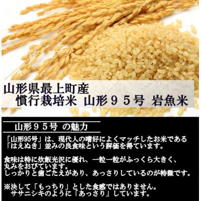 ふるさと納税 最上町 新米　令和8年産 慣行栽培米 山形95号　玄米 30kg　山形県産　西塚農場 |  | 01