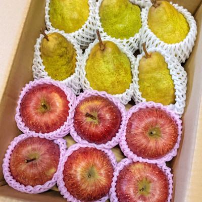 ふるさと納税 鶴岡市 [令和7年産]ラ・フランス&amp;ふじりんごセット 3kg