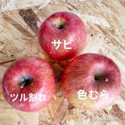 ふるさと納税 青森市 青森県産 産地直送!家庭用 サンふじ 約5kg |  | 01