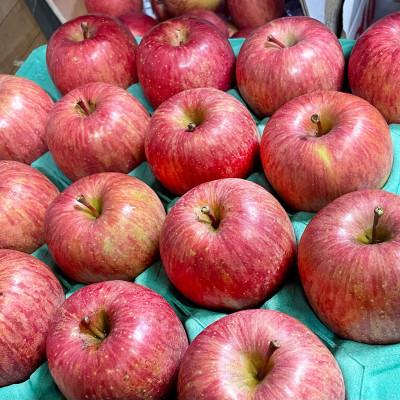 ふるさと納税 青森市 青森県産 産地直送!家庭用 サンふじ 約5kg |  | 02