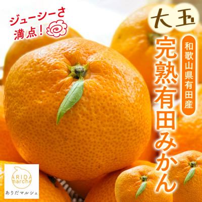 ふるさと納税 湯浅町 [先行受付・2025年11月〜発送][果汁たっぷり]迫力満点! 大粒 有田みかん 4kg