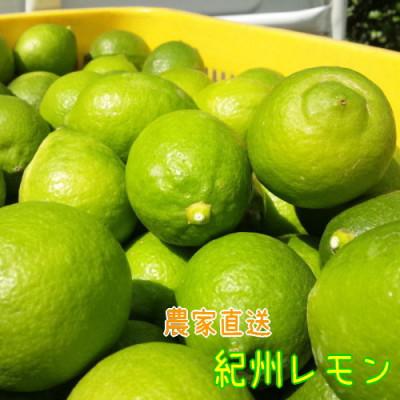 ふるさと納税 海南市 [国産]農家直送! 紀州レモン 約2kg