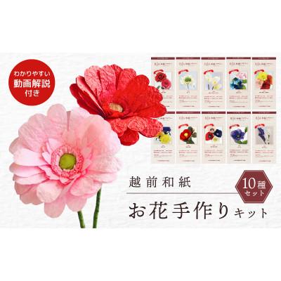 ふるさと納税 越前町 越前和紙で手作り花のキット 10種(図解説明書にはQRコード動画付き)