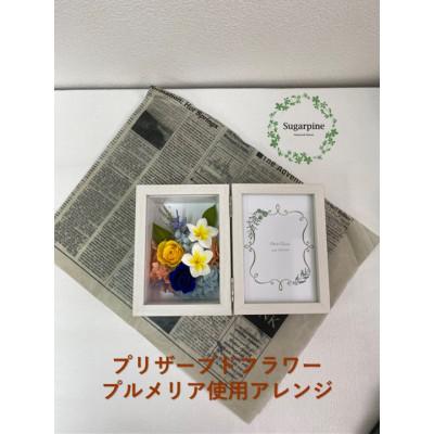 ふるさと納税 春日部市 シュガーパインのプリザーブドフラワーアレンジ[フォトフレーム・プルメリア]春日部市