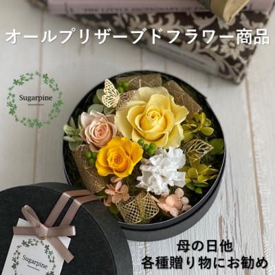 ふるさと納税 春日部市 シュガーパインのプリザーブドフラワーアレンジ[アムール/イエロー]春日部市