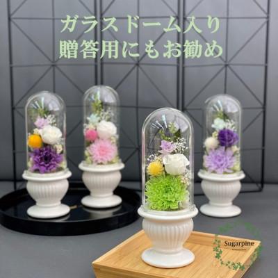 ふるさと納税 春日部市 プリザーブドフラワーアレンジ[和花/緑]春日部市 シュガーパイン