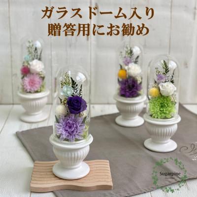 ふるさと納税 春日部市 プリザーブドフラワーアレンジ[和花/うす紫]春日部市 シュガーパイン