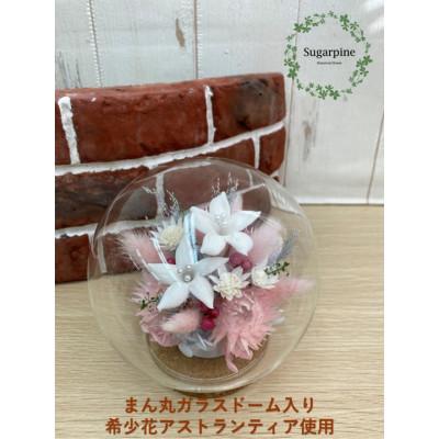 ふるさと納税 春日部市 シュガーパインのプリザーブドフラワーアレンジ[アリア]春日部市
