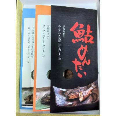 ふるさと納税 美濃市 大鮎3種セット