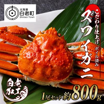 ふるさと納税 白老町 訳あり　ズワイガニ 姿 ボイル済み 冷凍 1尾セット 約800g BM022 | 