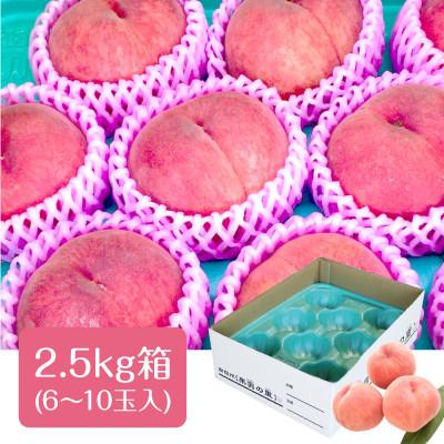 ふるさと納税 豊丘村 【丘の上ファーム】初夏を彩る桃 品種おまかせ 2.5kg(6-10玉) 2026年7月発送の画像