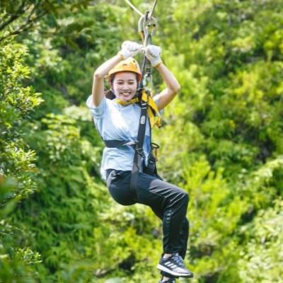 ふるさと納税 東村 やんばるの森を空中散歩!ジップライン体験チケット 大人2名様(約90分)